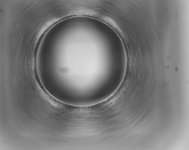 X0000073901040200608111125