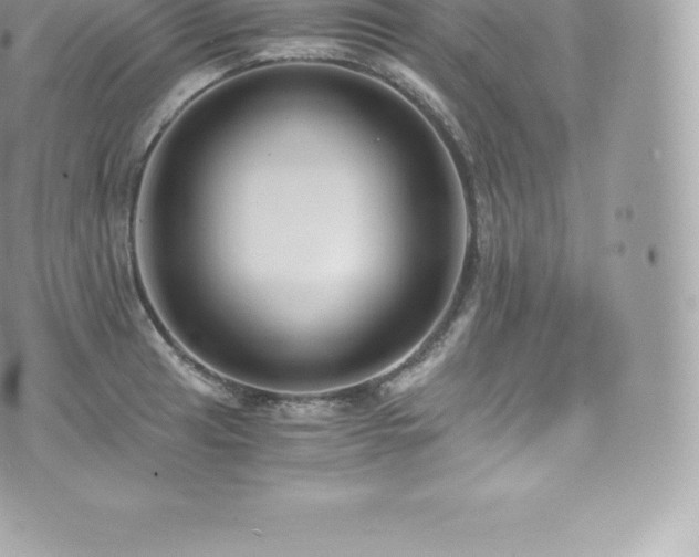 X0000073901041200608111125