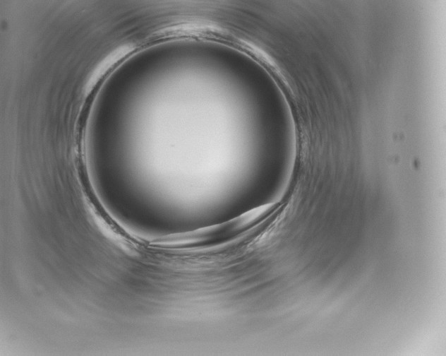 X0000073901042200608111125