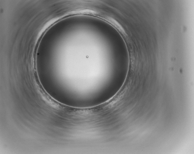 X0000073901044200608111125