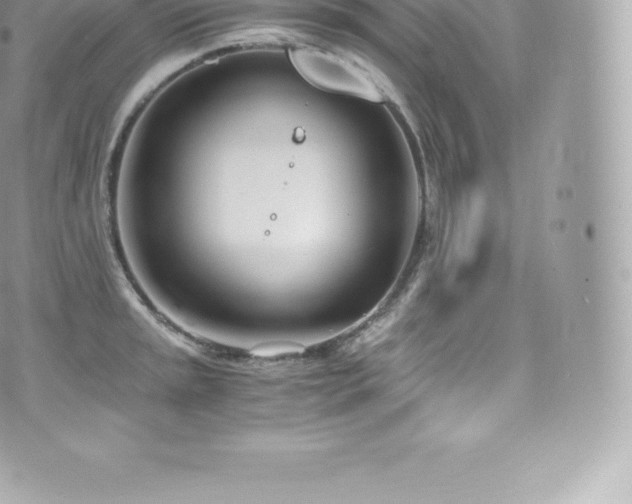 X0000073901045200608111125