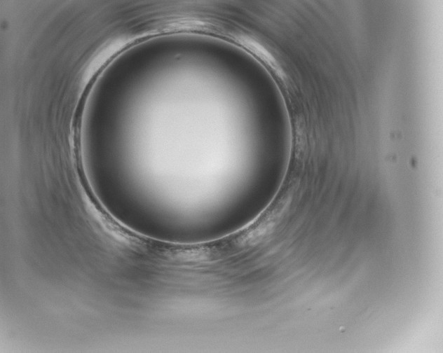 X0000073901047200608111125