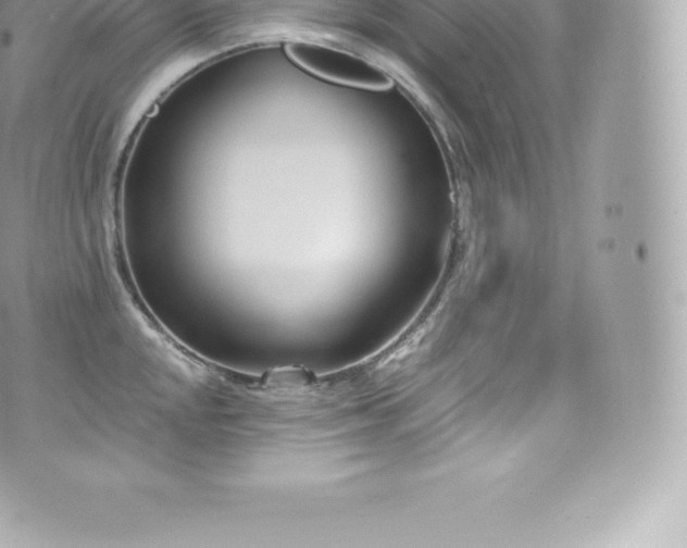 X0000073901048200608111125