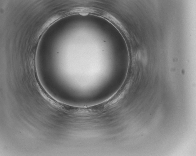 X0000073901049200608111125