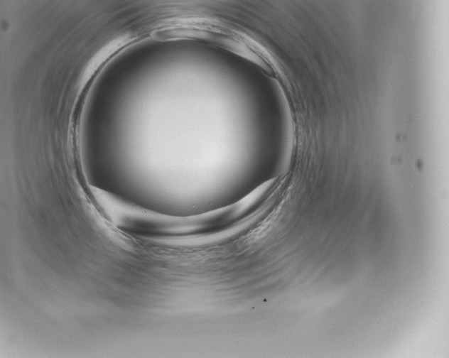 X0000073901050200608111125