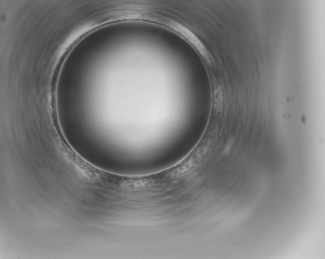 X0000073901051200608111125