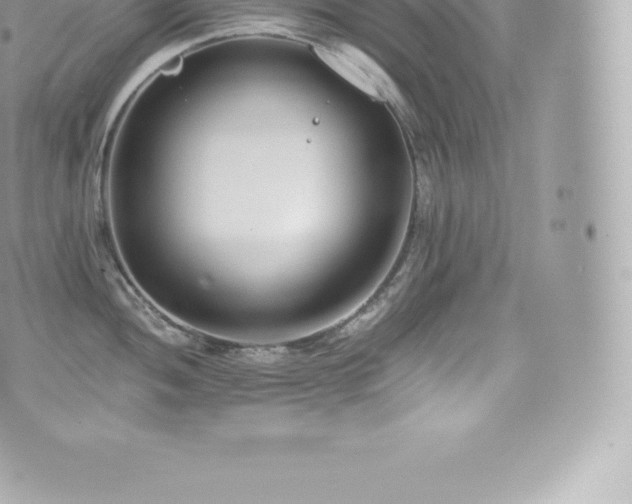 X0000073901052200608111125