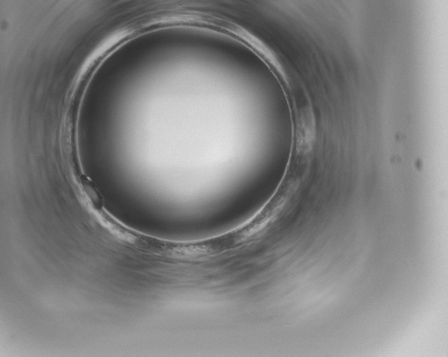 X0000073901053200608111125