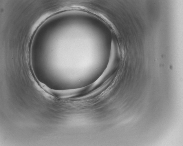 X0000073901054200608111125