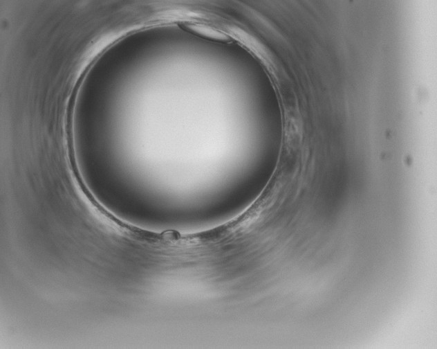 X0000073901055200608111125