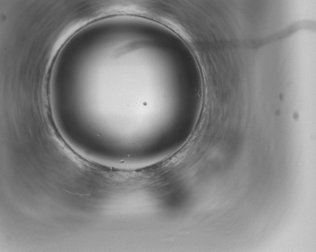 X0000073901056200608111125