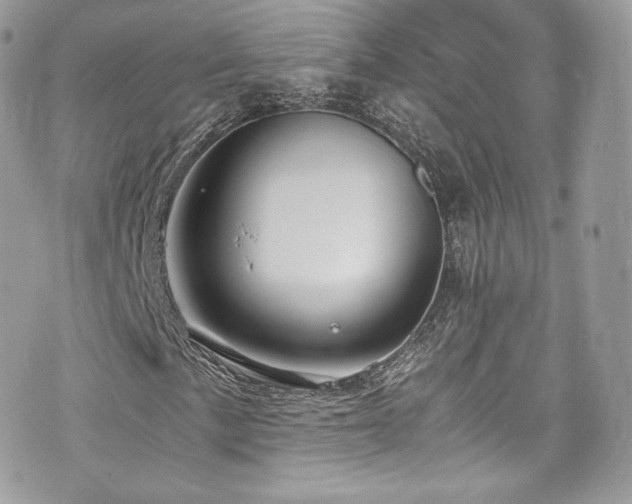 X0000073901057200608111124