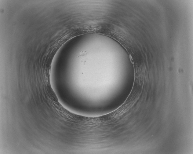 X0000073901058200608111124