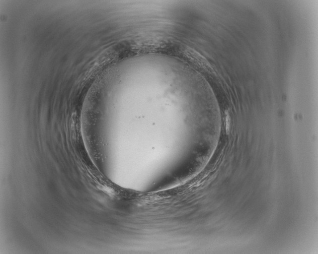 X0000073901059200608111124