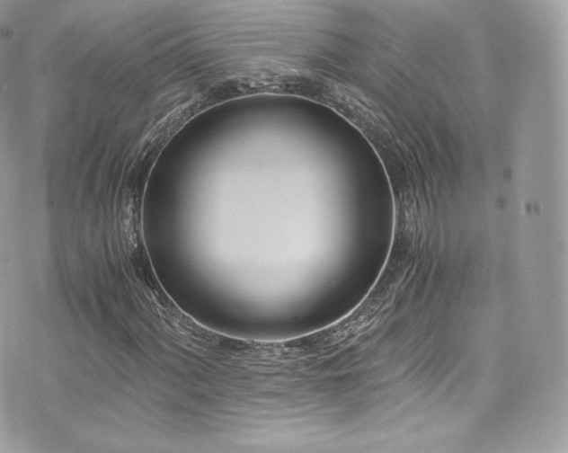 X0000073901060200608111124