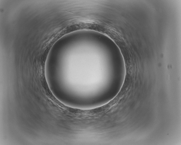 X0000073901061200608111124