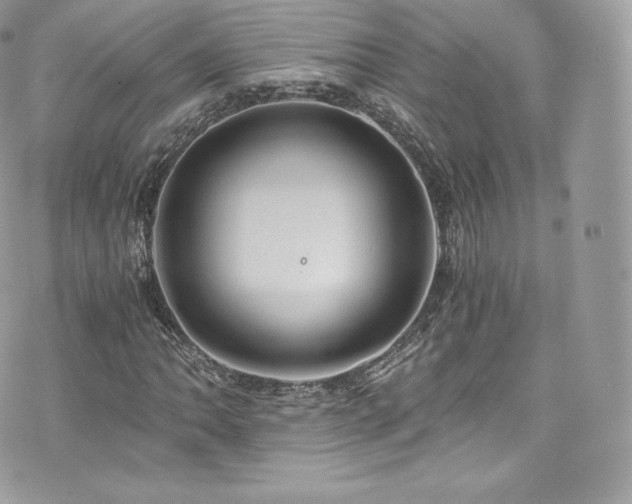 X0000073901062200608111124