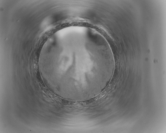 X0000073901063200608111124