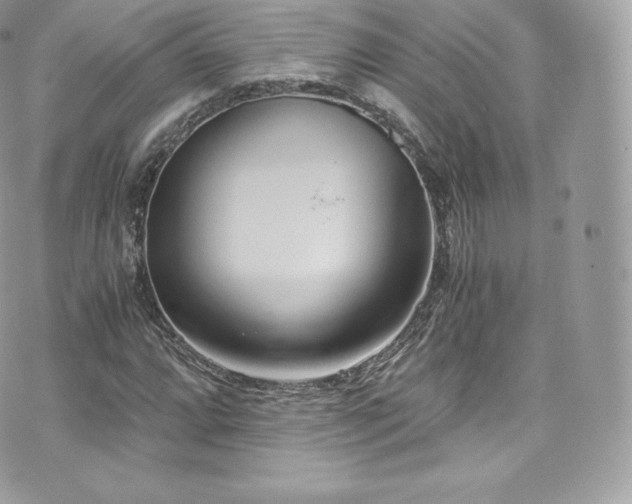 X0000073901064200608111124