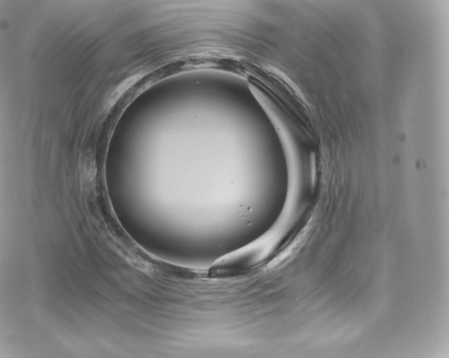 X0000073901065200608111124