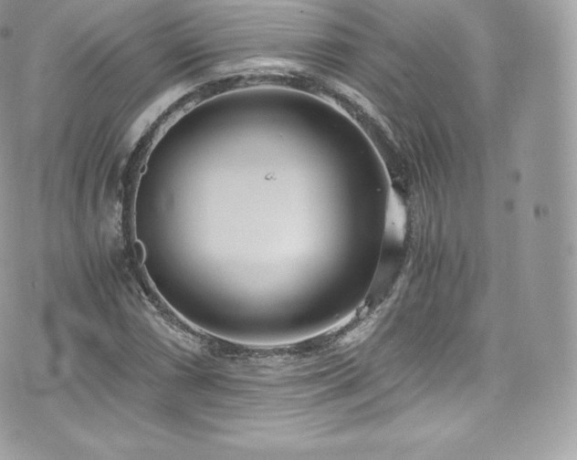 X0000073901066200608111124