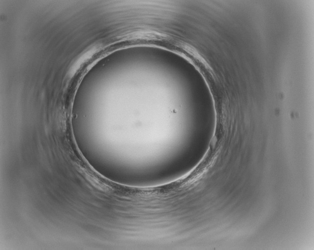 X0000073901067200608111124