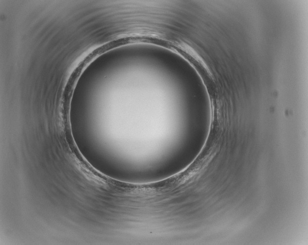 X0000073901068200608111124