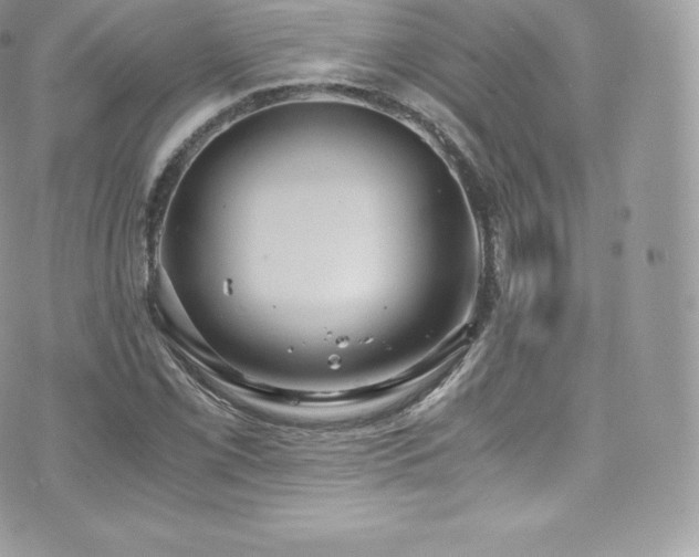 X0000073901069200608111124