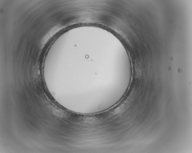 X0000073901070200608111124