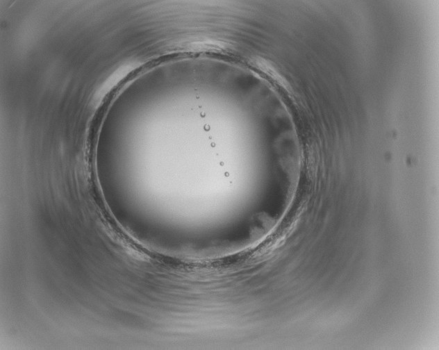 X0000073901071200608111124