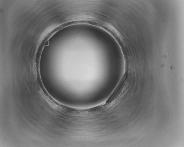 X0000073901072200608111124