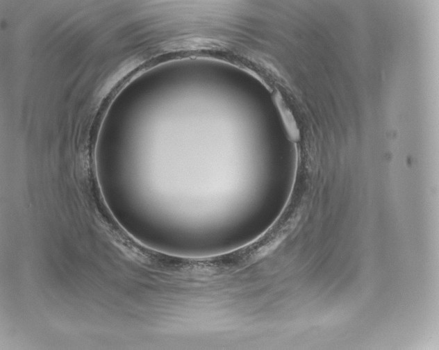 X0000073901073200608111124