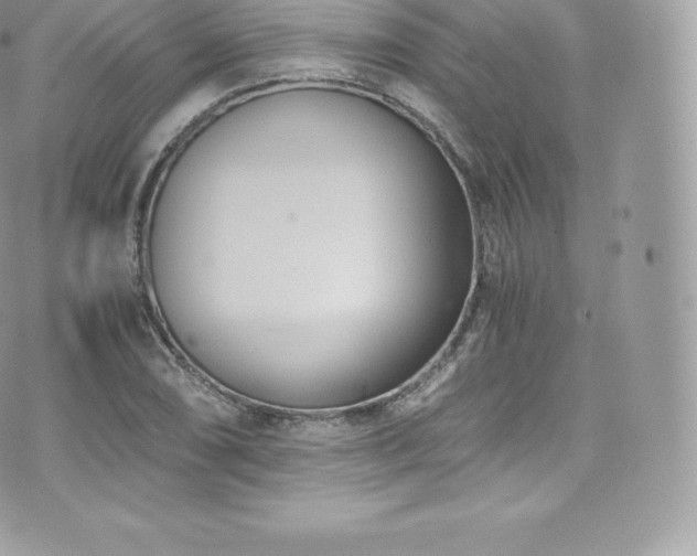 X0000073901074200608111124