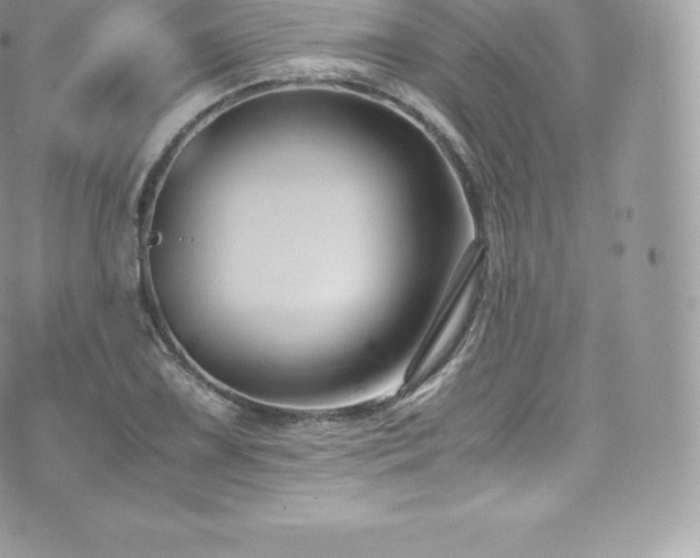 X0000073901075200608111124