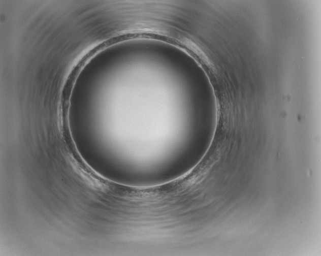 X0000073901076200608111124