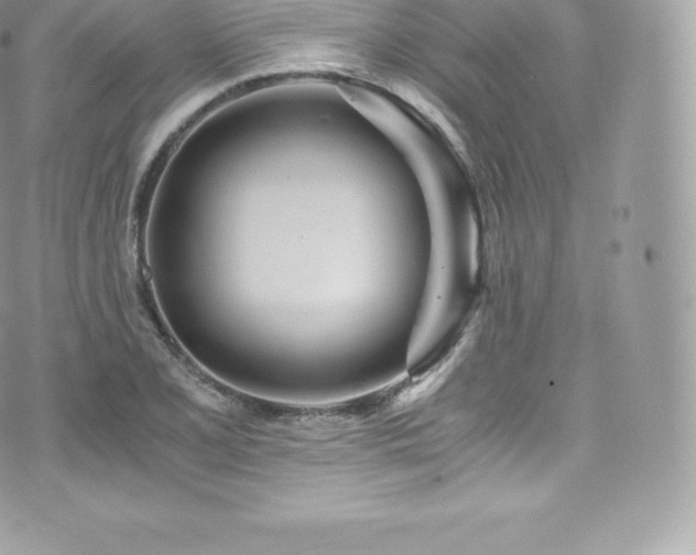 X0000073901077200608111124