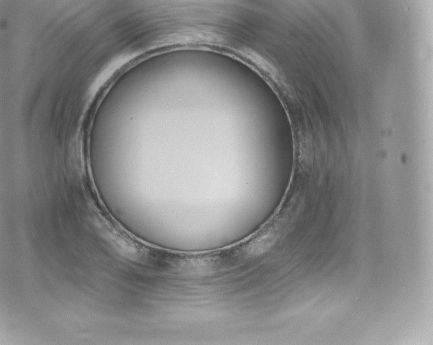 X0000073901078200608111124