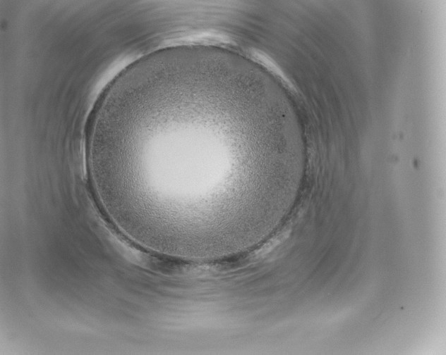 X0000073901079200608111124