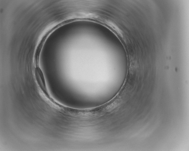 X0000073901080200608111124