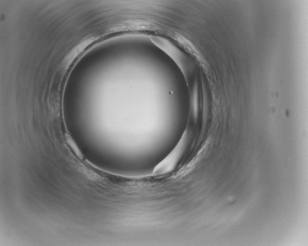 X0000073901081200608111124