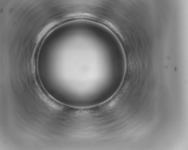 X0000073901082200608111124