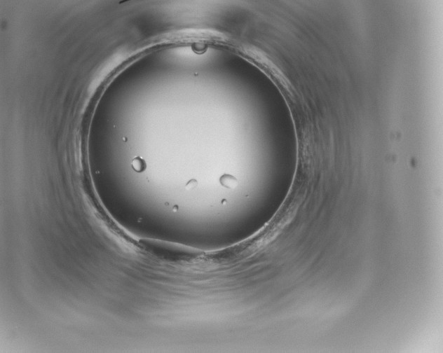 X0000073901083200608111124