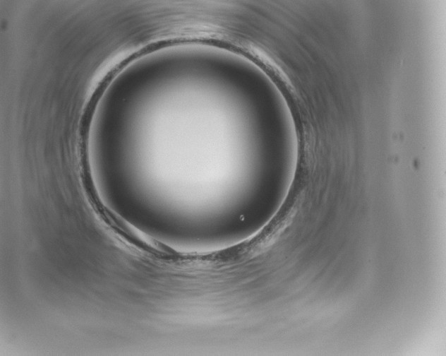 X0000073901085200608111124