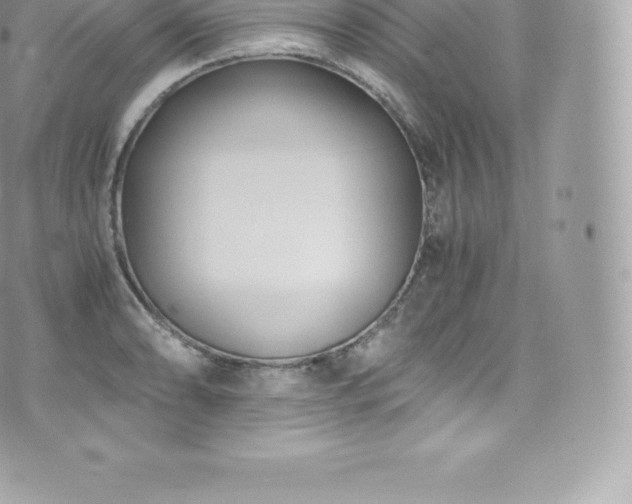 X0000073901086200608111124