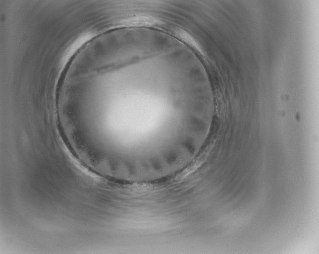 X0000073901087200608111124