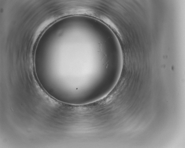 X0000073901088200608111124