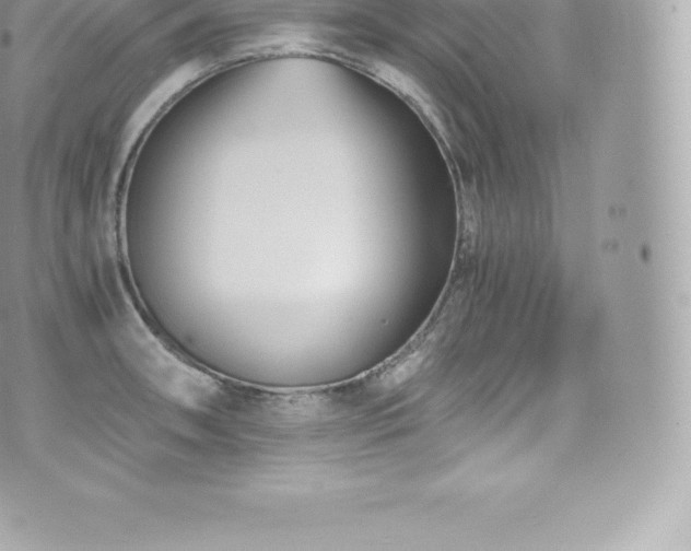 X0000073901090200608111124