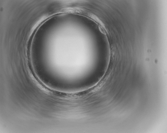 X0000073901091200608111124