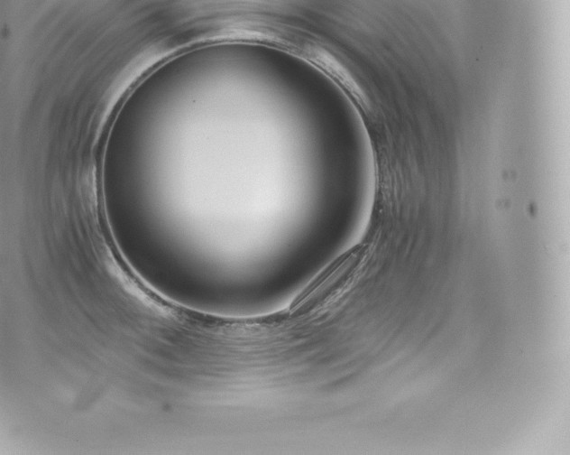 X0000073901092200608111124