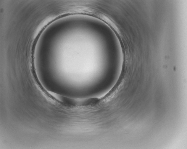 X0000073901093200608111124